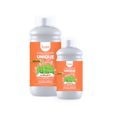 อะมิโนข้าว สูตรเร่งเต่ง สำหรับข้าวระยะออกรวง