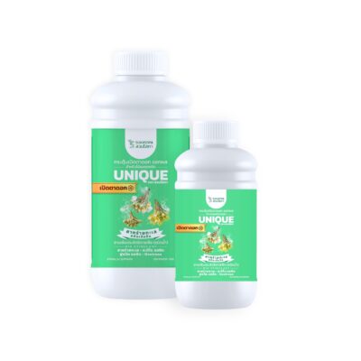 สาหร่ายทะเลสกัดเข้มข้น สูตรเปิดตาดอก