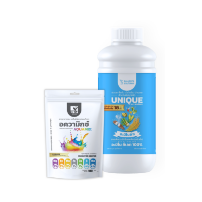 คู่หูเร่งโต-ฟื้นต้น